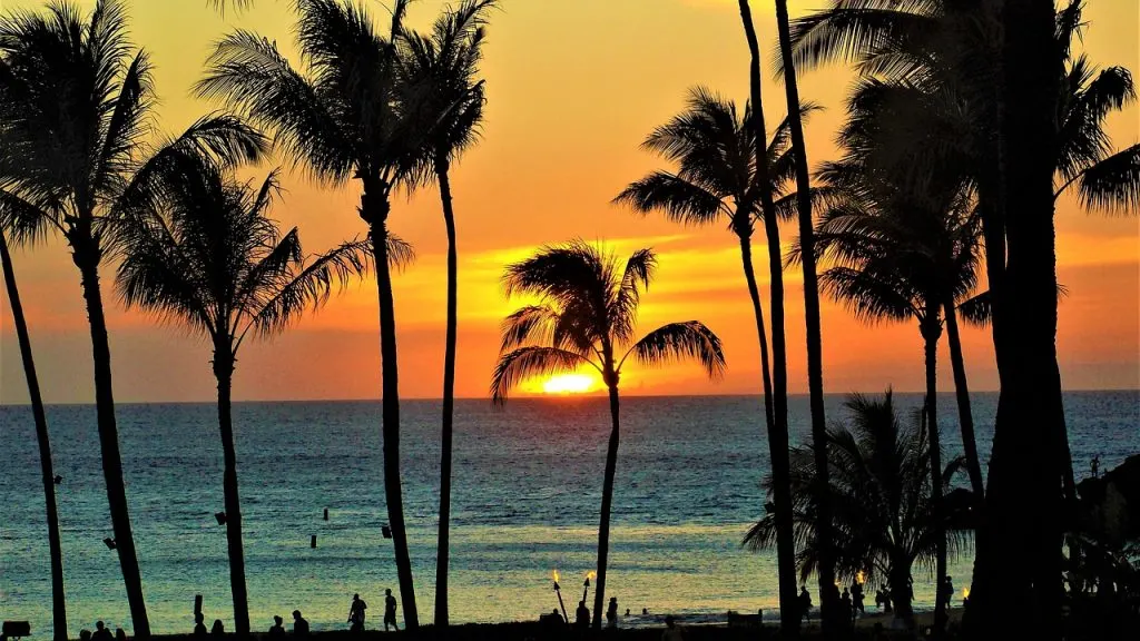 A beach sunset with the silhouette of palm trees and beach goers.