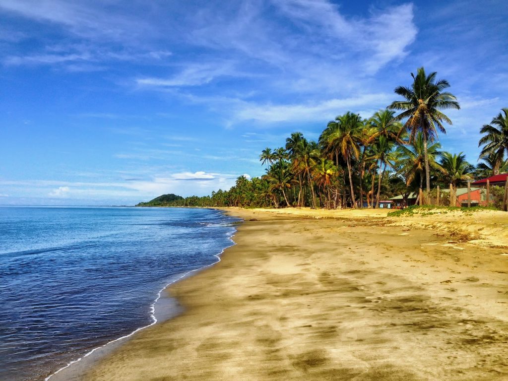 Fiji beach with palm trees.
