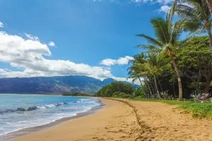 beautiful beaches of maui