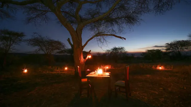 Tanzania candle lit dinner for honeymoon couple