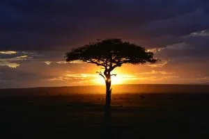 african sunsets