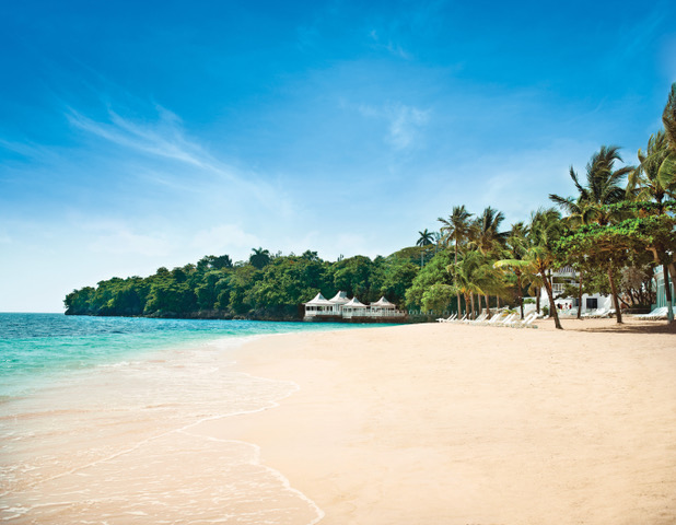 A sandy beach with palm trees and a blue sky.