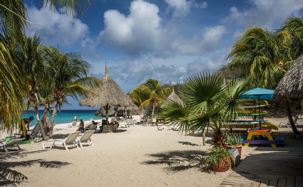 Curacao beach with plam trees, lounge chairs, and umbrellas.