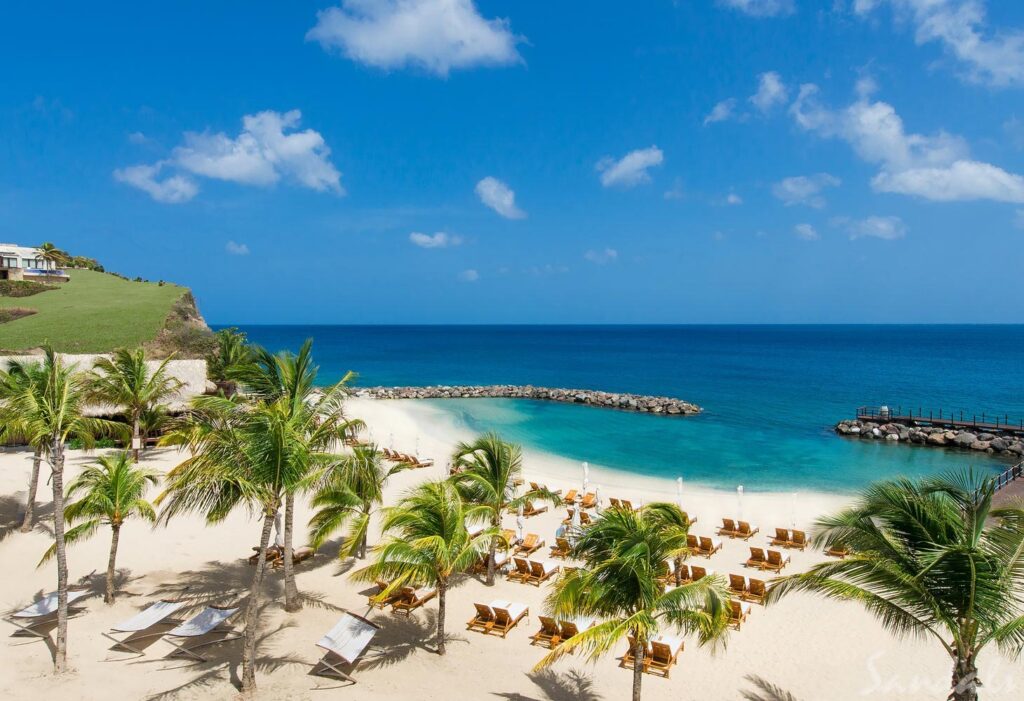 A beach filled with palm trees, lounge chairs, and free standing hammocks all facing the ocean.