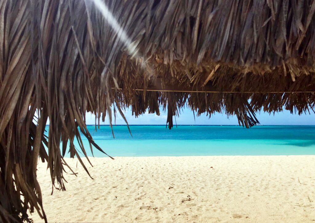 A thatched roof cabana on a beach in Aruba looking out to toward the ocean.