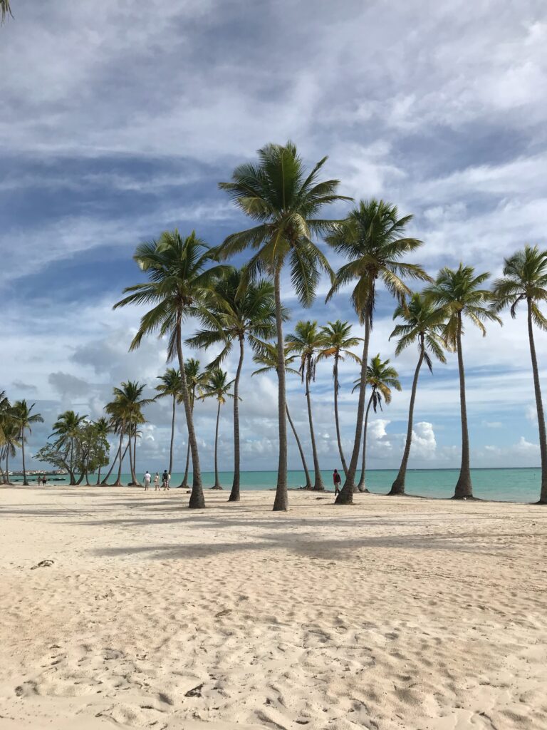 Beach in the Dominican Republic with many palm trees.