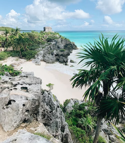 A beach in Tulum with rocky cliffs and palm trees surrounding it.